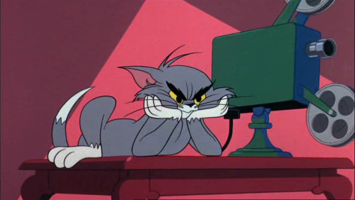 itsyamtastic:chuck jones gives tom some the best expressions ashd;dj