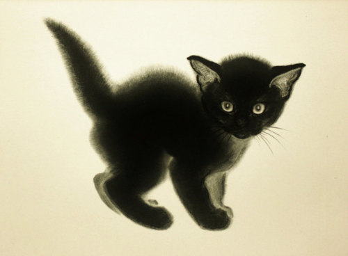 myfairynuffstuff:Clare Turlay Newberry (1903 - 1970) - Black Kitten. Charcoal.