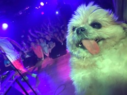 marniethedog:  Haha I’m on the stage haha