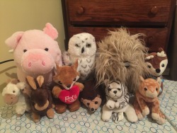 daddyandhislittledeer:  My stuffie collection so far. Hen wen, Hedwig, Fred noodles, Bambi, booplesnoot, thumper, taran, hedgehog, z, kitty cat. :)