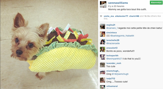 womens-sports:   Serena Williams + her love of tacos  Bonus +  