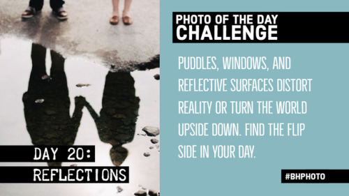 31 Day Photo Challenge, Week 3