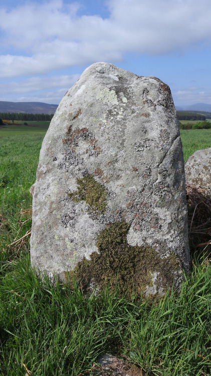 ‘Eslie The Lesser’ Stone Circle, nr Banchory, Scotland, 30.5.18.The last of three stone circles in c