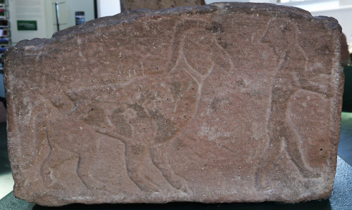 Pictish Stones and Early Crosses Photo Set 1, Meigle Pictish Stone Museum, Scotland, 26.5.18.A selec