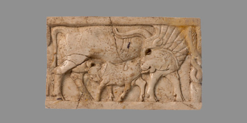Ancient Assyrian ivory furniture plaque depicting a cow suckling a calf.  Artist unknown; 9th/8th ce