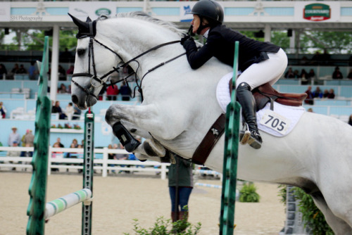 sjhphotography: Adult Amateur Jumpers Devon 2017