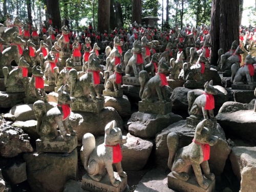 Hill of Foxes - Inari Betsuin Temple Akasaka (豊川稲荷東京別院) Toyokawa by kobalt