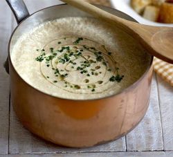 jacaret:  Cream of wild mushroom soup