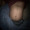 riebelly: