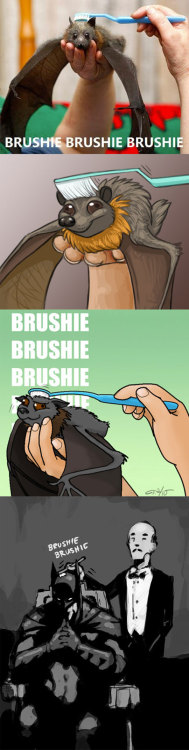 advice-animal:  Brushing Batshttp://advice-animal.tumblr.com/