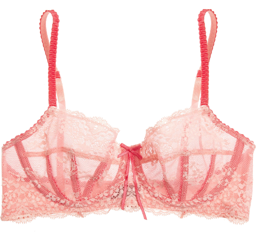transparent-lingerie:  Elle Macpherson Intimates, “Dentelle”: bra 