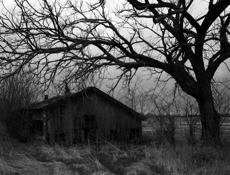 dark-recesses-of-the-soul:    ☽ dark, horror, eerie, macabre ☾    