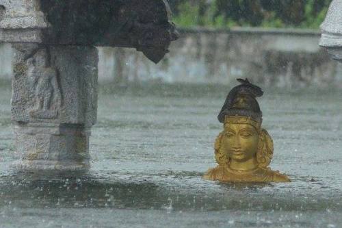 Mamallapuram Perumal temple submerged in water. But look at that snake which is safe on the head of 