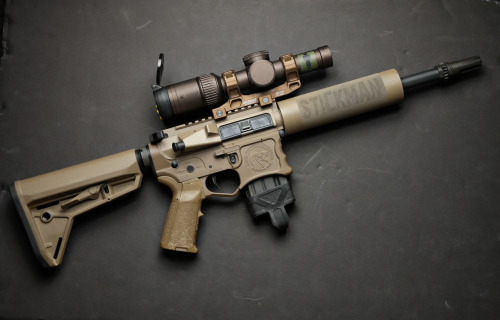 stickgunner:  Magpul Industries Corp. / Area 53 / Vortex Optics / Geissele Automatics, LLC / Vltor 