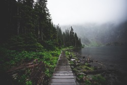 Jtrendd:  Misty Days In Washington