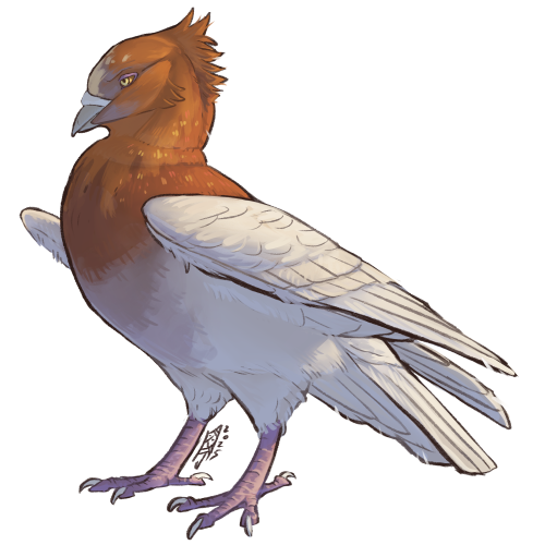 Vivid Bad Doves