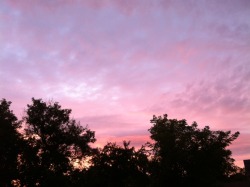 Suckeyangel:  Anyone Wanna Lay My Roof And Look At The Cotton Candy Sky With Me