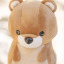 0rangebear