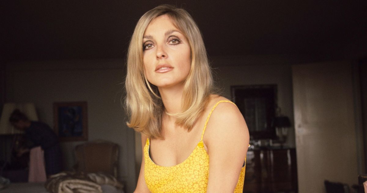 Some of Sharon's perfumes in auction  Sharon tate pictures, Sharon tate,  Perfume