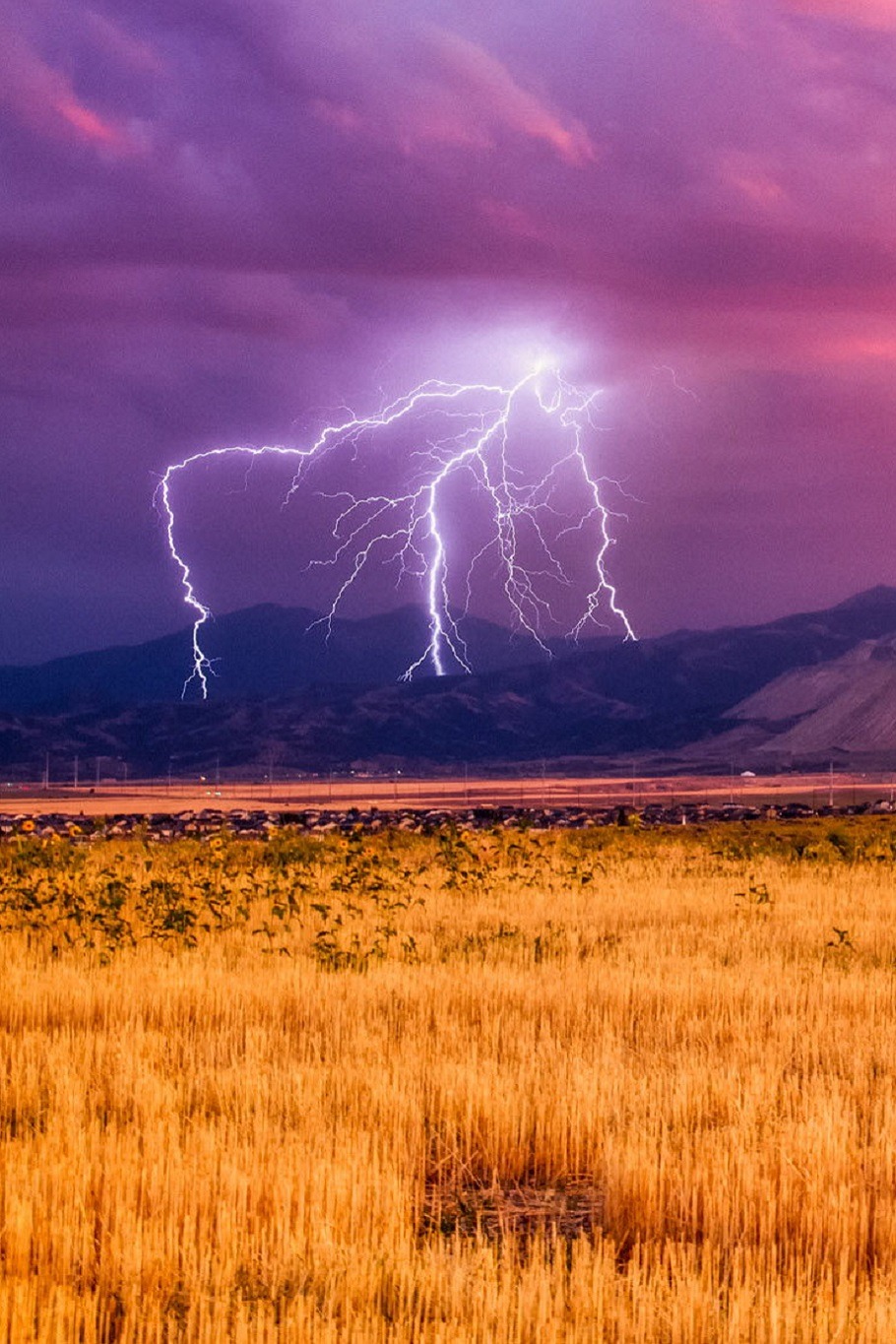 thecogirl:  sublim-ature:  UtahScott Stringham  Cool!! 