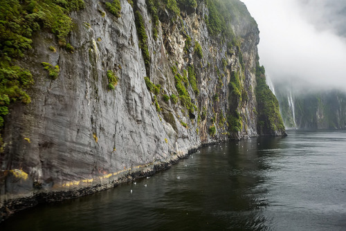esteldin:  Milford Sound, New Zealand. by cookiesound on Flickr.