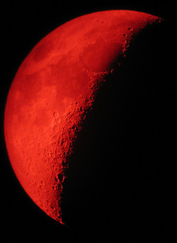 tulipnight:  …And the moon turned to blood.