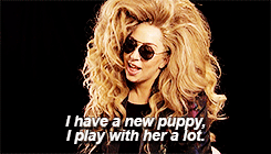 ladygagacentral:  http://bit.ly/13iJpGf  Lo hemos notado