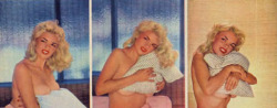 classicnudes:  Jayne Mansfield, PMOM - February