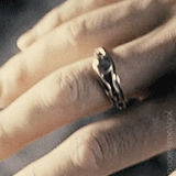 poor-smeagol:  “Elrond wore a mantle of grey and had a star upon his forehead,