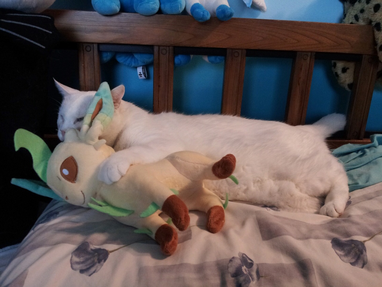 pokemonpalooza:  Just in case you have had a bad day and need photos of a cat cuddling