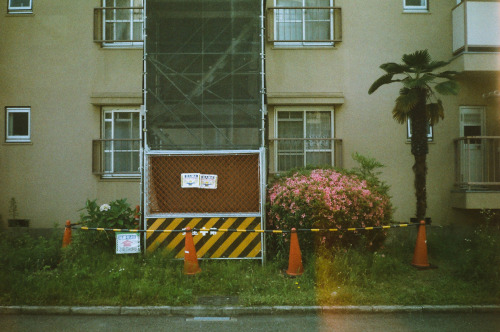 AGFA VISTA100 (Expired)／置去