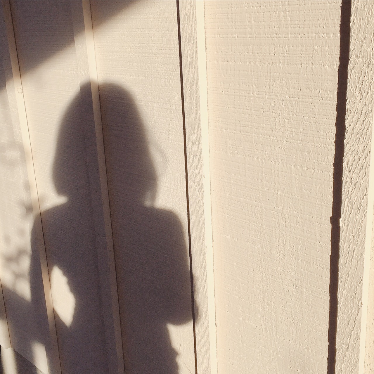 faebee:  it’s nearing february and i can already feel spring in my skin 