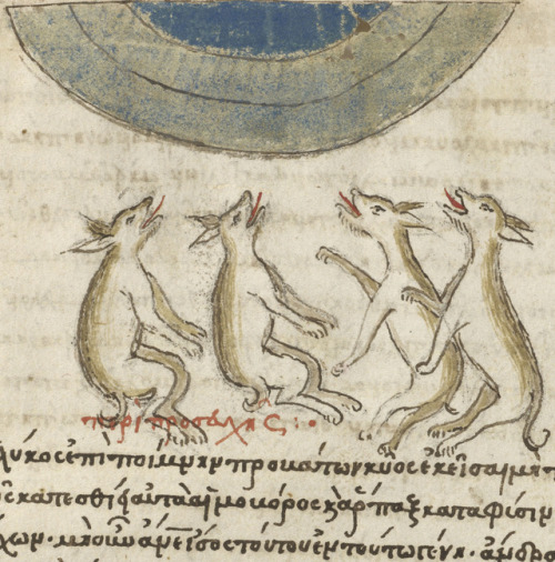 discardingimages:wolves howling at the moonPhysiologus, Crete ca. 1500LA, Getty, Ms. Ludwig XV 2, fo