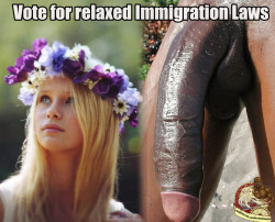 breedingthefuture:sweden will soon have the biggest average dicks in europe. thanks to well hung black dadies and blonde mothers