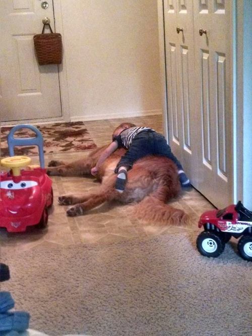 awwww-cute:  My son is staying at my parents for a few days. My mom sent me this photo. (Source: https://ift.tt/2sMzWh0)