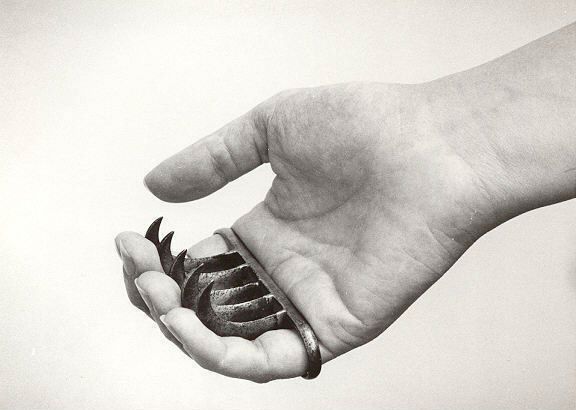 congenitaldisease:  The bagh naka is a claw like weapon which hails from India. It