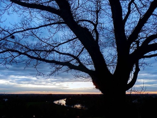 That bend in the river… #tree #sky #skyporn #sunset #sunsetlovers #clouds #cloudporn #river #