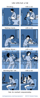 mittray:  Life with and without a cat Via