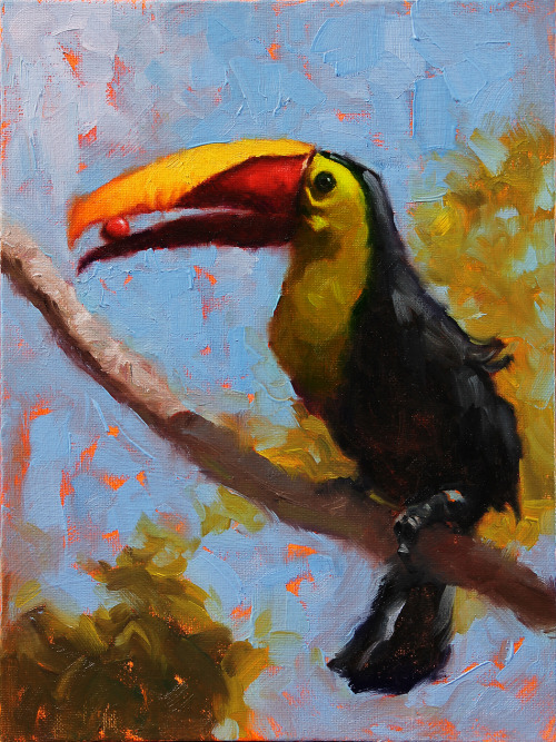 Painted a Tucan from a friend’s Costa Rica vacation photo that I cropped and digitally painted on to