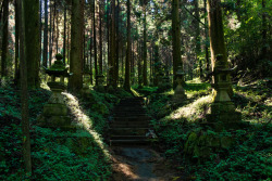 wanderlustjapan:
“ 上色見熊野座神社の写真一覧
”