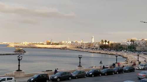 Pussytwitches checking out the Adriatic from Bari