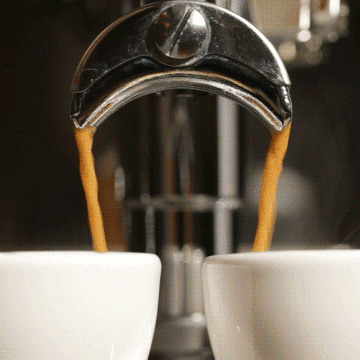 Your Coffee Guru