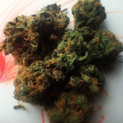 veeeveeeganja:   Good morning!!  