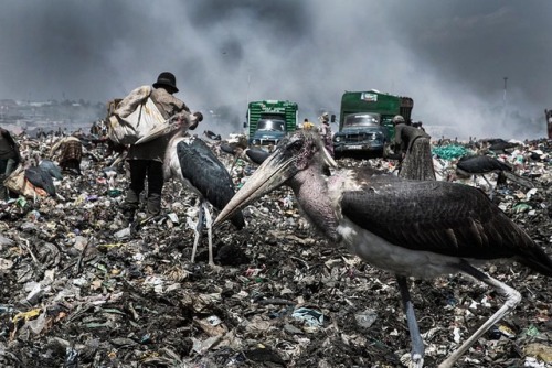 By Salar Kheradpejouh More than 850 tonnes of solid waste ends up at Dandora Dumpsite daily, generat