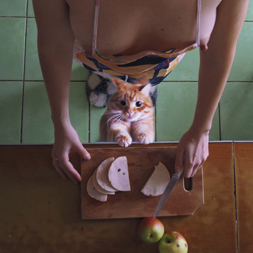 Porn Videos Blog