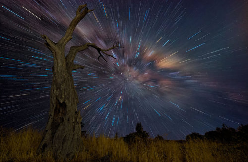 archiemcphee:
“ Australian photographer Lincoln Harrison (previously featured here) continues to create phenomenal long-exposure photos of the night sky for his ongoing Startrails series.
Visit his 500px page to view more.
[via Scene 360]
”