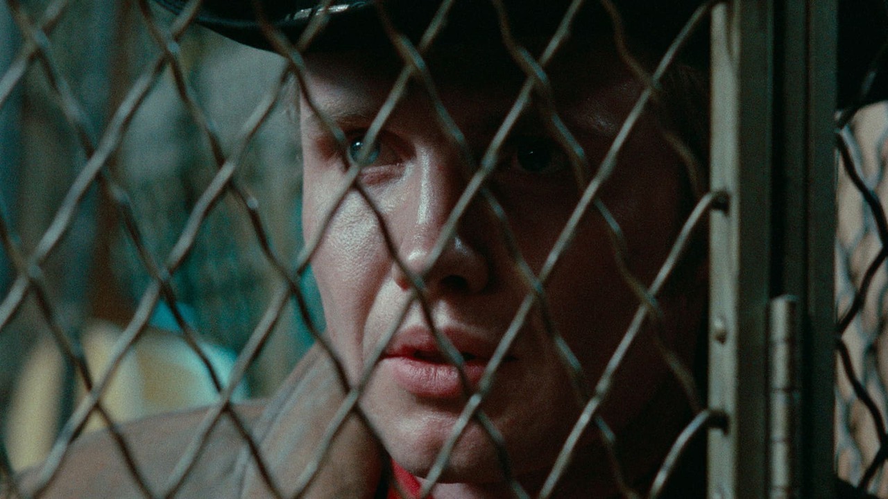 orwell:  Midnight Cowboy (1969) dir. John Schlesinger 