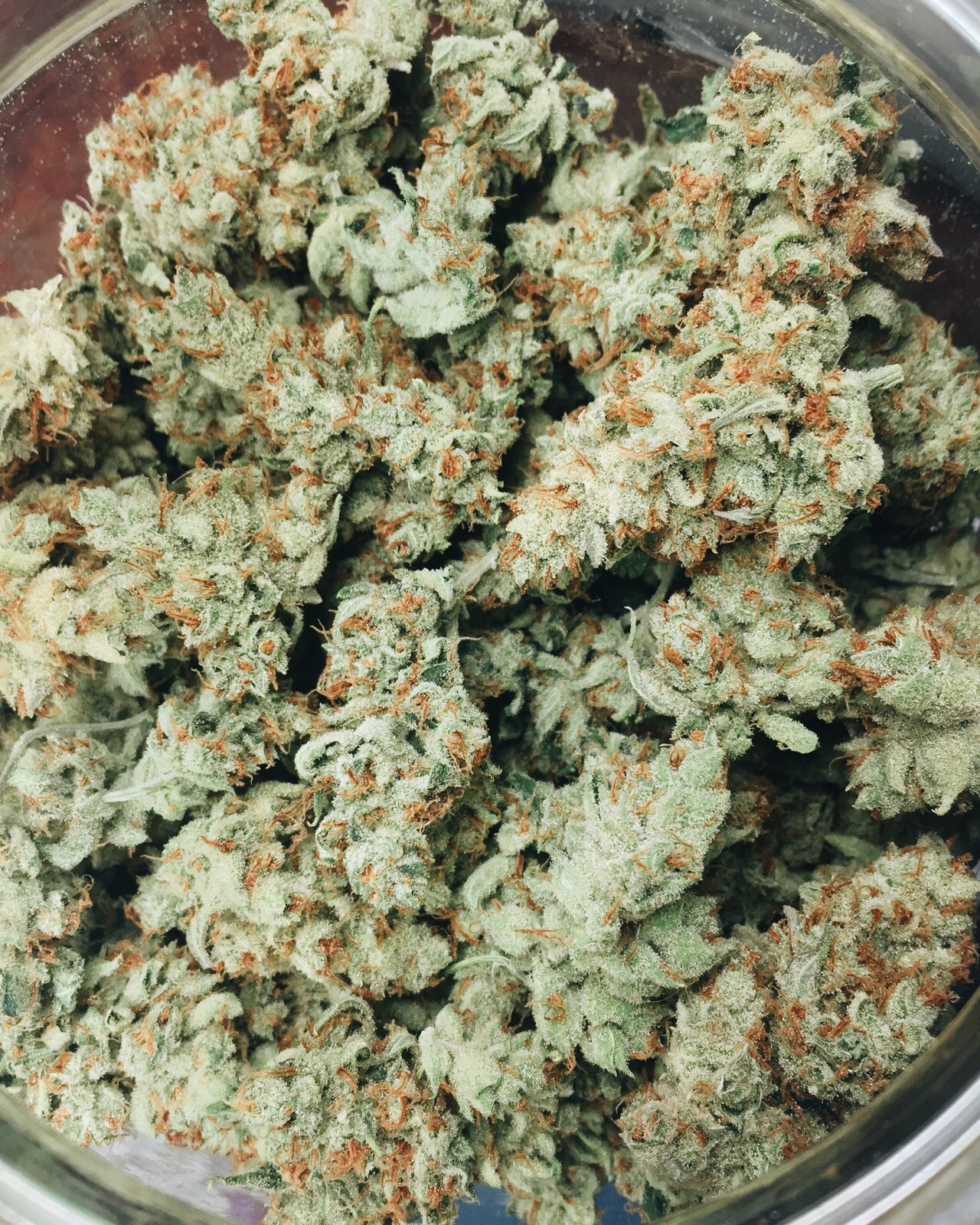 pinekush:🍍 stay high 🚀