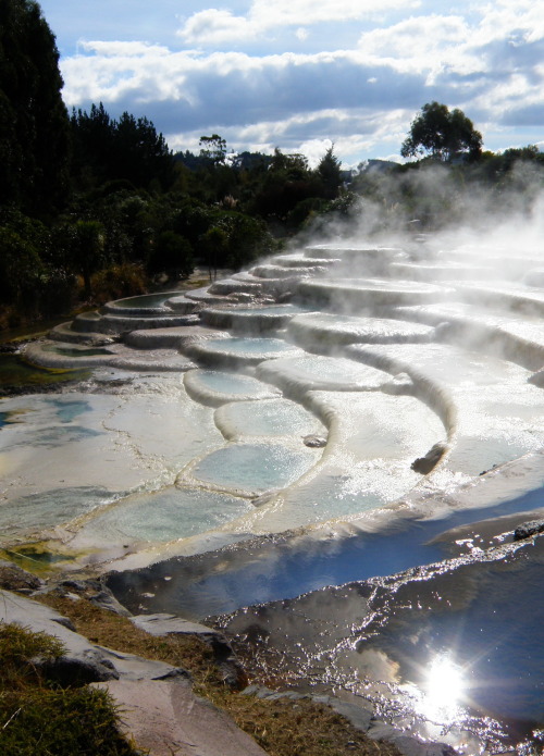 Wairakei thermal terraces in Rotorua, North Island, New Zealand (by fv3535).