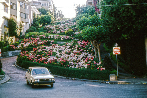 pseudolibrary: Lombard Street - 1981 by rarb1950
